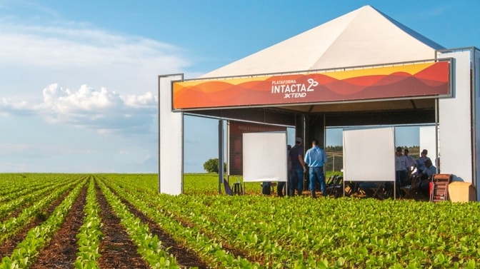 Agroeste apresenta variedades de soja com tecnologia Intacta 2 Xtend®