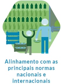 alinhamento-normas-nacionais-internacionais