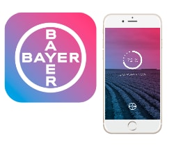 Bayer EXP