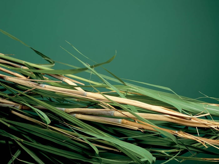 Bayer integra fundo pioneiro de R$ 500 milhões para descarbonização no agronegócio