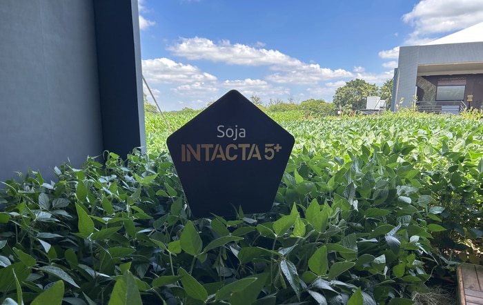 Intacta 5+