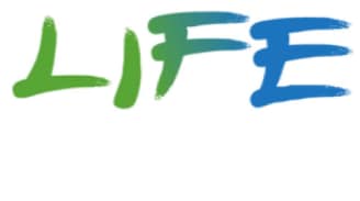 newlife.PNG 