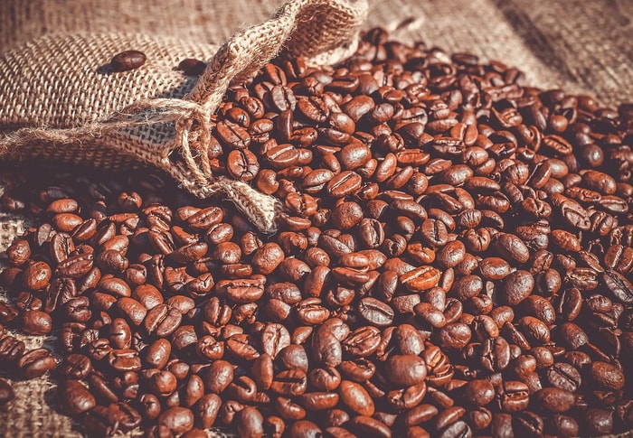 Rastreabilidade se torna ferramenta estratégica para produtoras rurais replicarem boas práticas no agronegócio