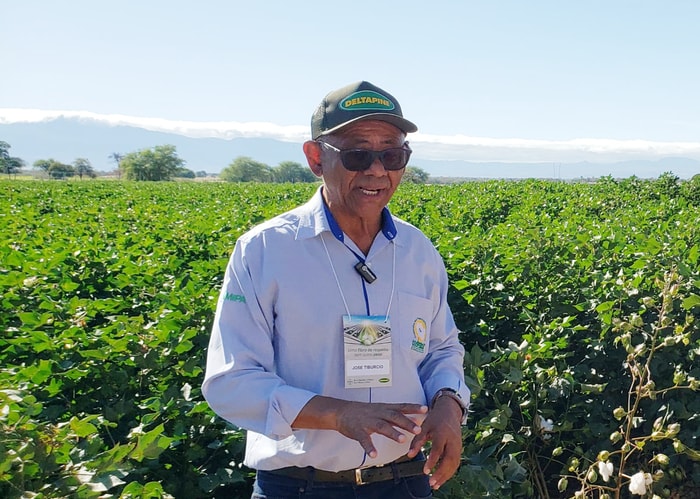 Segundo o assessor da Coopercat, com o apoio de novas tecnologias, produtores de Catuti colheram até 400 arrobas de algodão por hectare, ante uma média regional de 250 arrobas