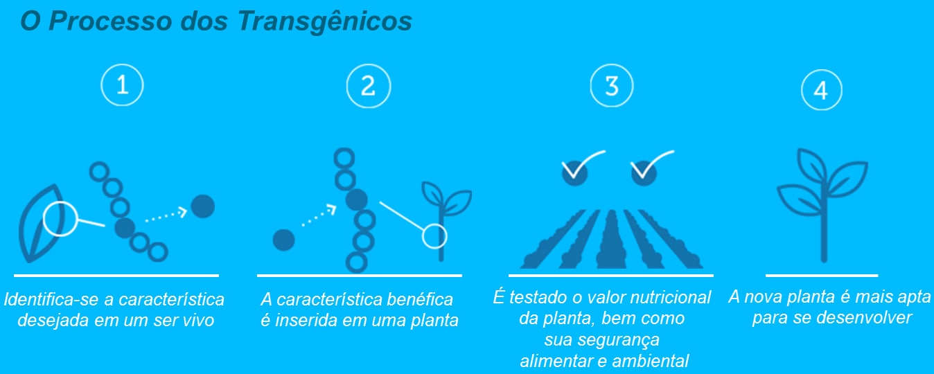 transgenicos-3_1.png