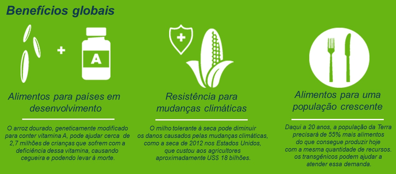 transgenicos-4_1.png 