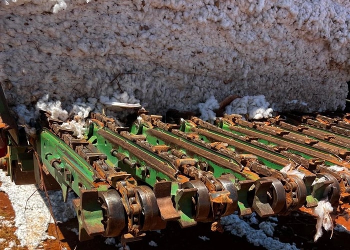 O transmódulo é usado para transportar fardos pré-compactados de algodão do campo à unidade de beneficiamento em Catuti