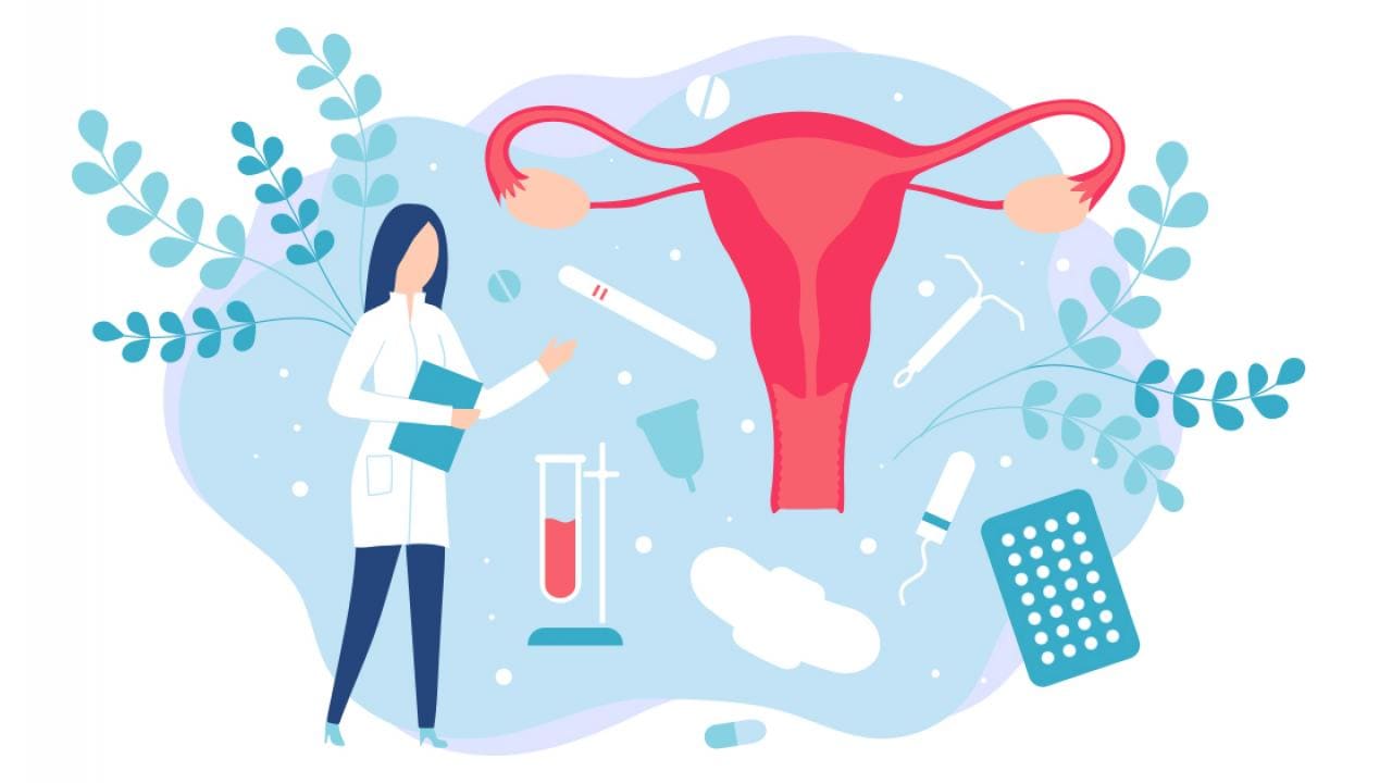 Ilustração de um médico com itens de saúde reprodutiva feminina, incluindo um diagrama do útero, DIU, pílulas, absorvente interno e tubo de ensaio, cercado por folhas.