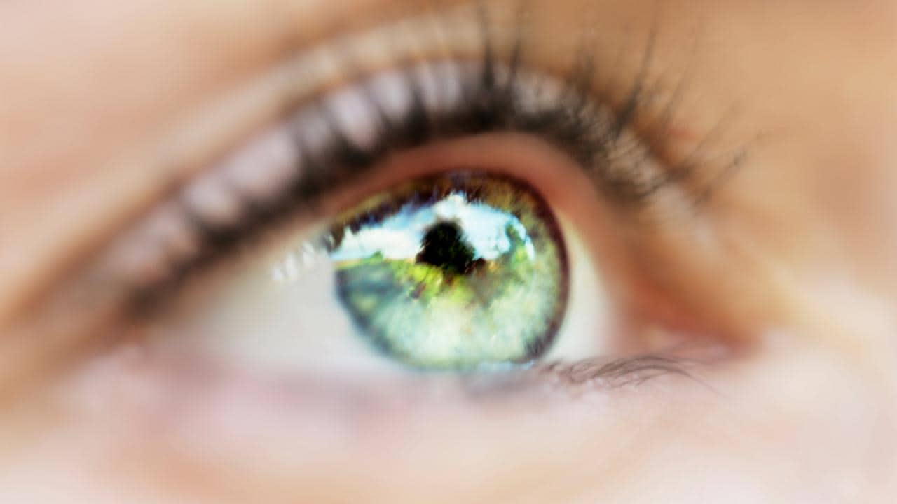 Close de um olho verde com cílios visíveis e um reflexo do ambiente ao redor na pupila.