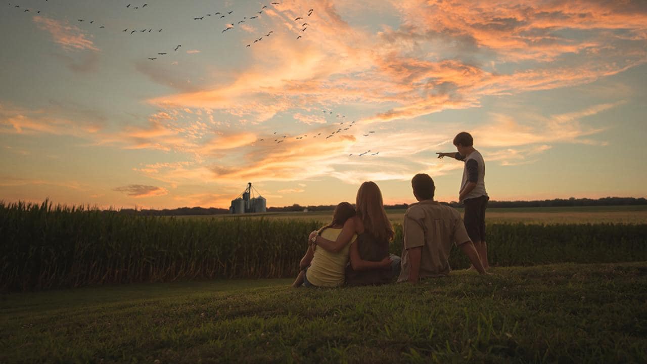 Uma família de quatro pessoas está sentada em uma colina gramada, observando pássaros voando no céu do pôr do sol sobre uma paisagem rural com um silo de grãos ao longe.