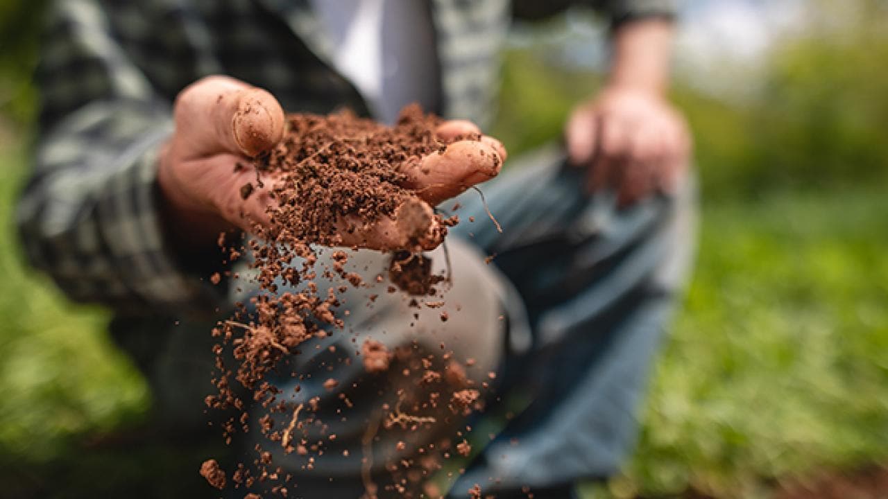 Uma pessoa ajoelhada na grama, segurando um punhado de terra solta.