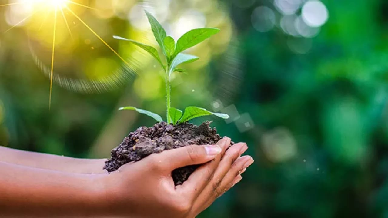 agricultura-moderna-sustentabilidade
