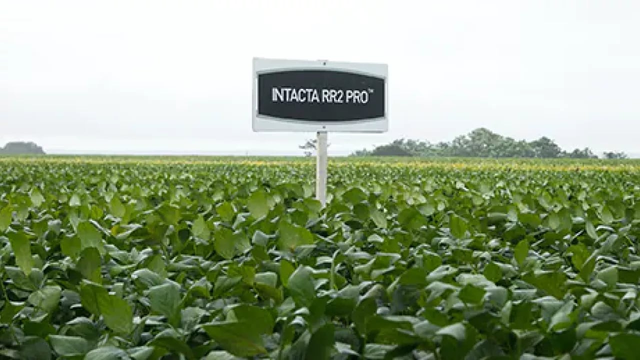 bayer-cropscience-compromissos-interna-2
