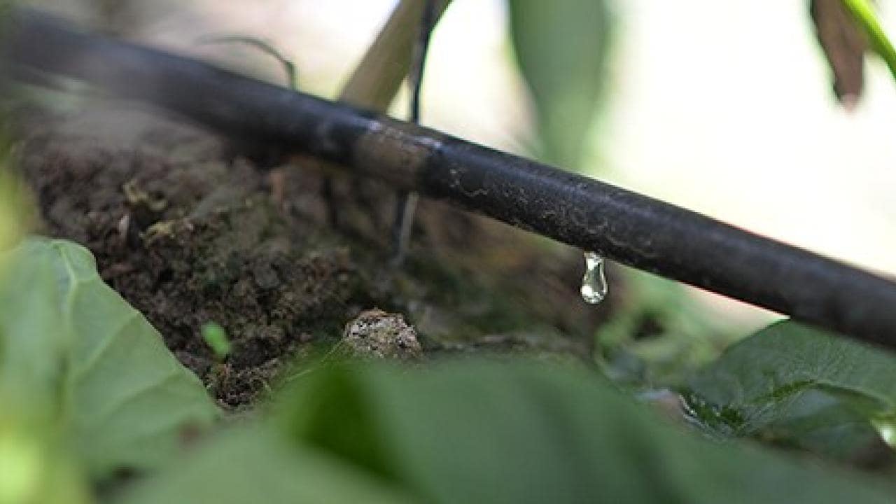 bayer-cropscience-compromissos-interna-3