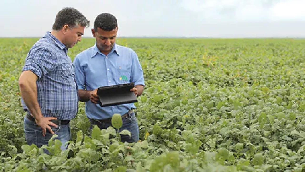 bayer-cropscience-compromissos-interna-5.