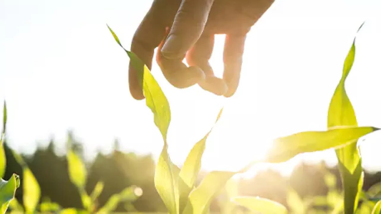 bayer-cropscience-compromissos-interna-7