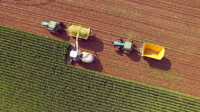 Aerial view of two tractors and a harvester in a field. The harvester transfers crop into a trailer, while the tractors drive parallel on the soil and grass.
