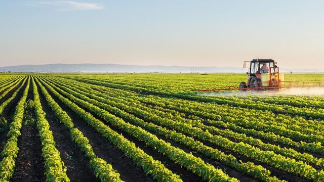 Um trator pulveriza pesticidas em um vasto campo agrícola verde sob um céu limpo.
