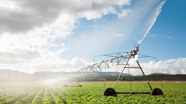 Um grande sistema de irrigação agrícola pulveriza água sobre um campo verde sob um céu parcialmente nublado.