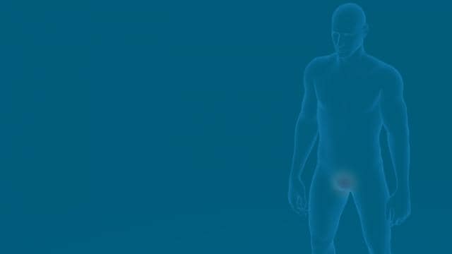 Silhueta azul transparente de uma figura humana com uma área destacada na pélvis, sobre um fundo azul sólido.