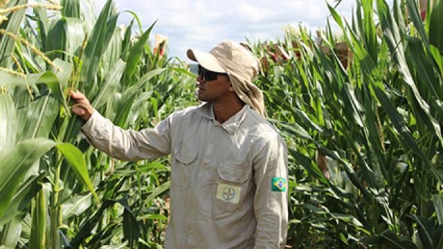 Man on farm