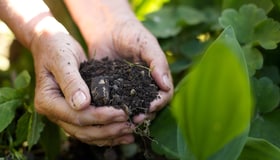 Sustentabilidade