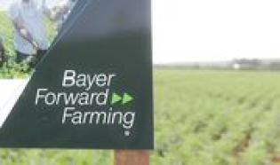 Programa de agricultura sustentável