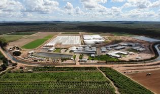 Bayer Petrolina