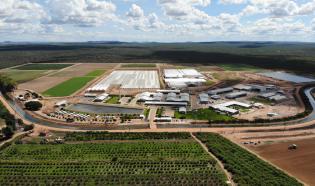 Bayer Petrolina